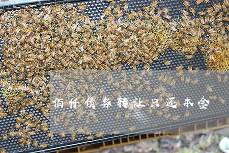佰仟债务转让只还本金 佰仟债务转让只还本金