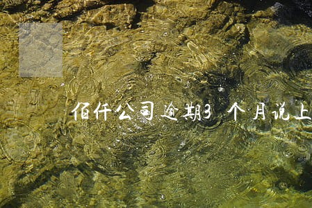 佰仟公司逾期3个月说上诉了 佰仟公司逾期3个月说上诉了