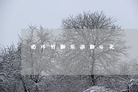 佰仟分期乐逾期4天 佰仟分期乐逾期4天