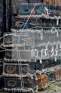 佰仟分期汽车逾期5天 佰仟分期汽车逾期5天