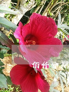 佰仟分期逾期1年后果 佰仟分期逾期1年后果
