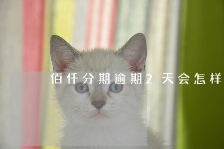 佰仟分期逾期2天会怎样