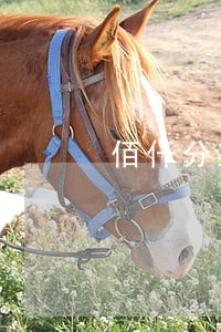 佰仟分期逾期2年还 佰仟分期逾期2年还