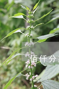 佰仟分期逾期3天 佰仟分期逾期3天