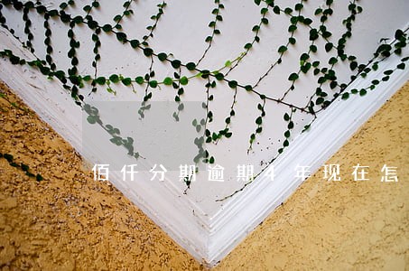佰仟分期逾期4年现在怎么还款 佰仟分期逾期4年现在怎么还款