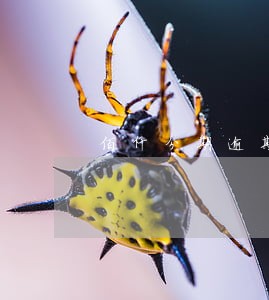 佰仟分期逾期8天还能做不 佰仟分期逾期8天还能做不