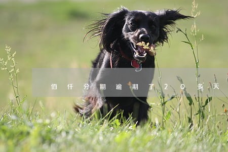 佰仟分期逾期了20多天会上门吗 佰仟分期逾期了20多天会上门吗