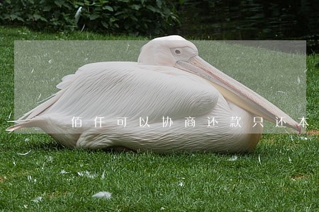 佰仟可以协商还款只还本金吗 佰仟可以协商还款只还本金吗