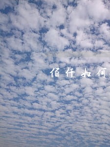 佰仟如何协商只还本金 佰仟如何协商只还本金