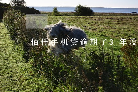 佰仟手机贷逾期了3年没还 佰仟手机贷逾期了3年没还