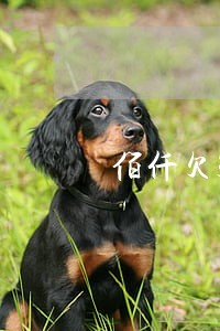佰仟欠3000多逾期一年