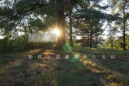 佰仟欠款逾期90天后 佰仟欠款逾期90天后