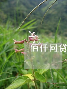 佰仟网贷逾期上征信么 佰仟网贷逾期上征信么