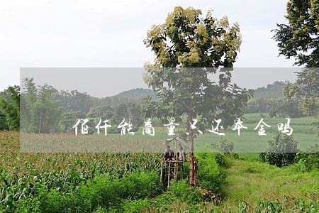 佰仟能商量只还本金吗 佰仟能商量只还本金吗