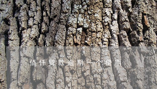 佰仟贷款逾期一个星期 佰仟贷款逾期一个星期