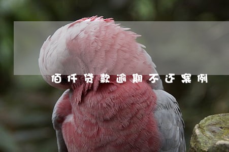 佰仟贷款逾期不还案例 佰仟贷款逾期不还案例