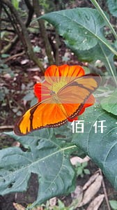 佰仟贷款逾期会被黑吗 佰仟贷款逾期会被黑吗