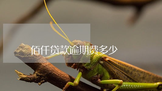 佰仟贷款逾期费多少 佰仟贷款逾期费多少
