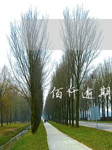 佰仟逾期1700多天 佰仟逾期1700多天