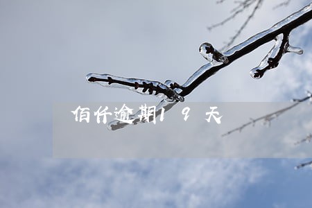 佰仟逾期19天 佰仟逾期19天