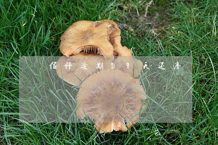 佰仟逾期19天还清 佰仟逾期19天还清