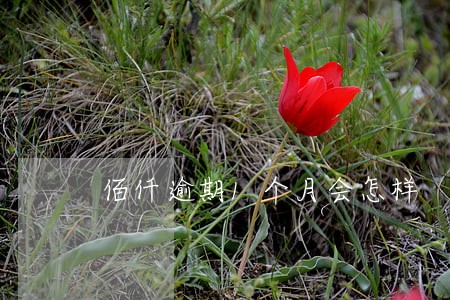 佰仟逾期1个月会怎样 佰仟逾期1个月会怎样