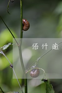 佰仟逾期1年催收真的到家吗
