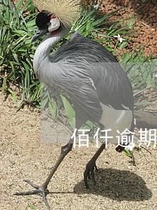 佰仟逾期2天上征信 佰仟逾期2天上征信