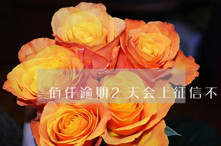 佰仟逾期2天会上征信不 佰仟逾期2天会上征信不