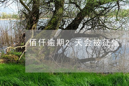 佰仟逾期2天会被征信 佰仟逾期2天会被征信