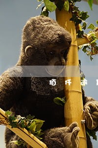 佰仟逾期2年怎么处理 佰仟逾期2年怎么处理