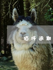 佰仟逾期300多天没还 佰仟逾期300多天没还
