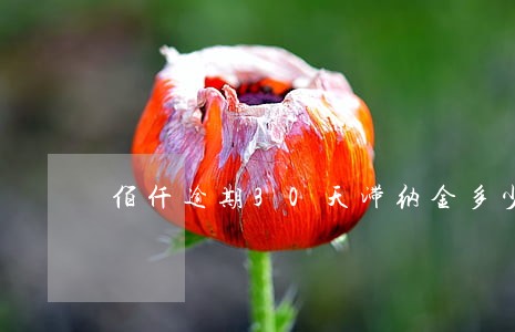 佰仟逾期30天滞纳金多少 佰仟逾期30天滞纳金多少