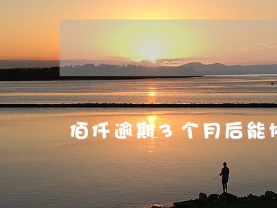 佰仟逾期3个月后能协商吗 佰仟逾期3个月后能协商吗