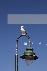佰仟逾期3天会上征信 佰仟逾期3天会上征信