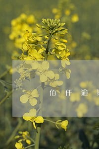 佰仟逾期3期怎么办 佰仟逾期3期怎么办