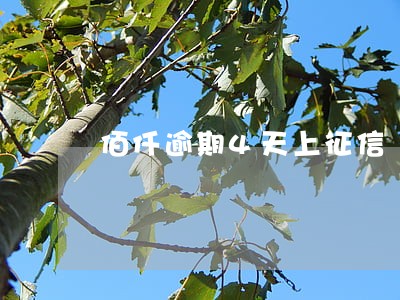 佰仟逾期4天上征信 佰仟逾期4天上征信