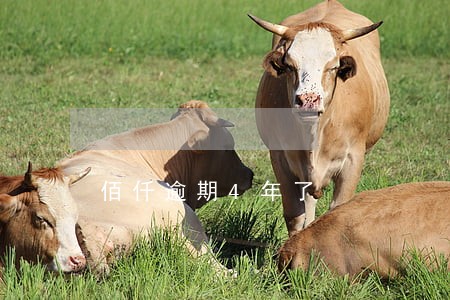 佰仟逾期4年了 佰仟逾期4年了