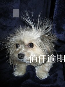 佰仟逾期58天 佰仟逾期58天