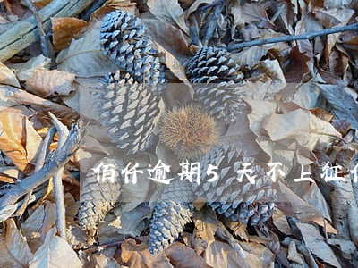 佰仟逾期5天不上征信吧 佰仟逾期5天不上征信吧