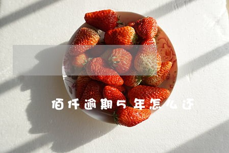 佰仟逾期5年怎么还 佰仟逾期5年怎么还