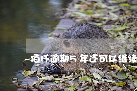 佰仟逾期5年还可以继续分期吗 佰仟逾期5年还可以继续分期吗