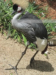 佰仟逾期6年了 佰仟逾期6年了