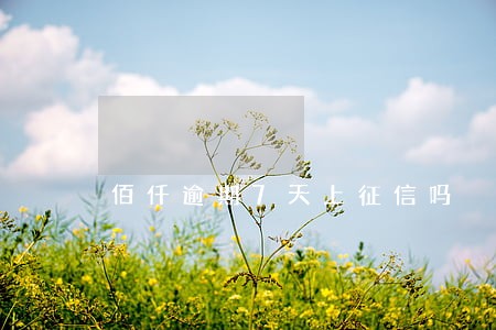 佰仟逾期7天上征信吗 佰仟逾期7天上征信吗
