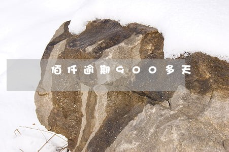 佰仟逾期900多天