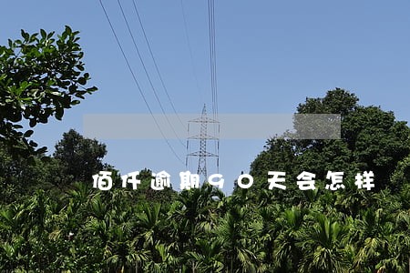 佰仟逾期90天会怎样