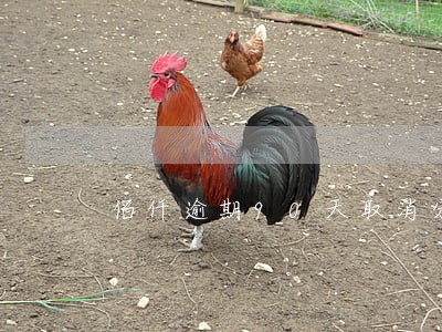 佰仟逾期90天取消分期 佰仟逾期90天取消分期
