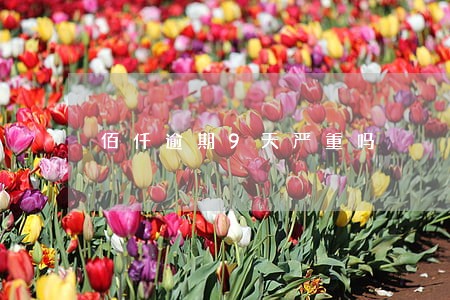 佰仟逾期9天严重吗