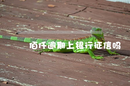 佰仟逾期上银行征信吗 佰仟逾期上银行征信吗