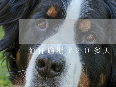 佰仟逾期了20多天 佰仟逾期了20多天